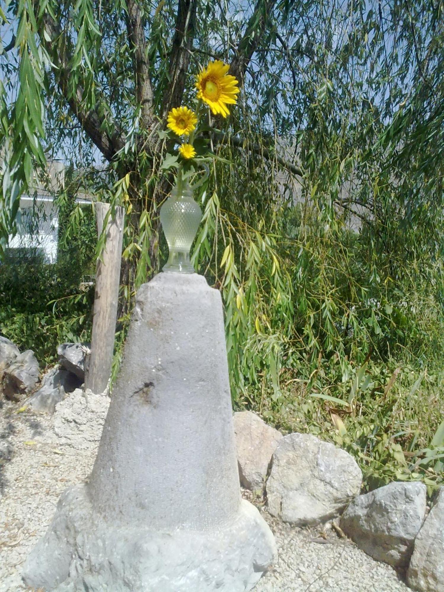 哈恩 卡萨利亚彼德拉乡间餐厅旅馆旅馆 外观 照片